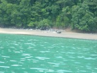 /album/imagenes-de-la-caba%c3%b1a/playas-virgen-en-choco-800x600-jpg/